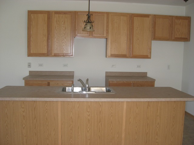 3845 E 110th St, Chicago, IL 60617 photo 5
