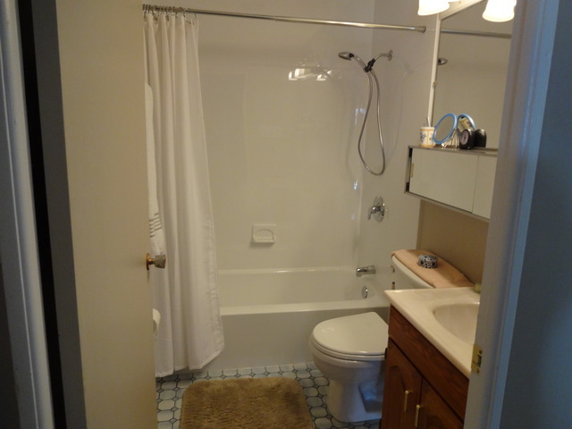 15233 Ridgeway Ave, Midlothian, IL 60445 photo 10
