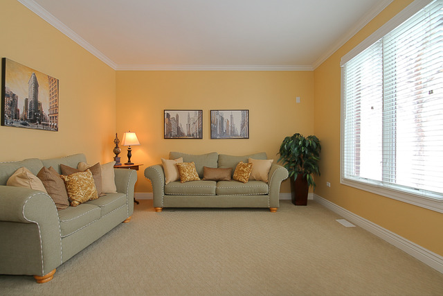 11641 Rushmore Dr, Plainfield, IL 60585 photo 5