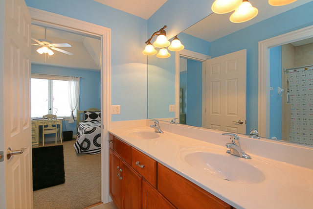 11641 Rushmore Dr, Plainfield, IL 60585 photo 20