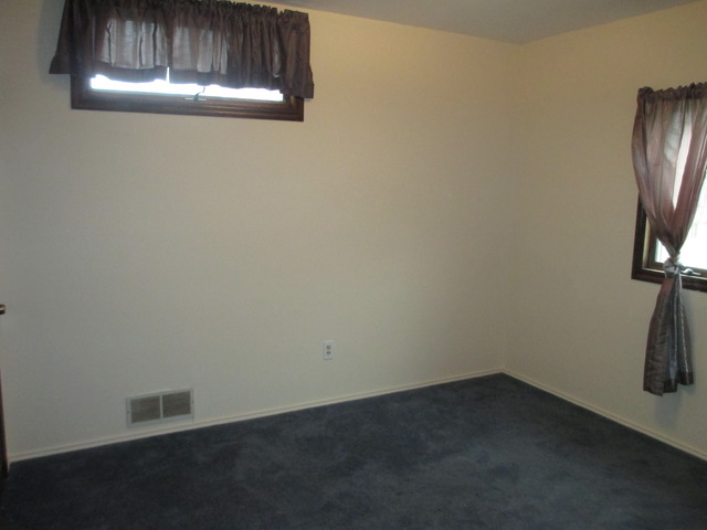 17872 Hickory St, Lansing, IL 60438 photo 13