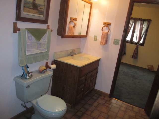 17872 Hickory St, Lansing, IL 60438 photo 14