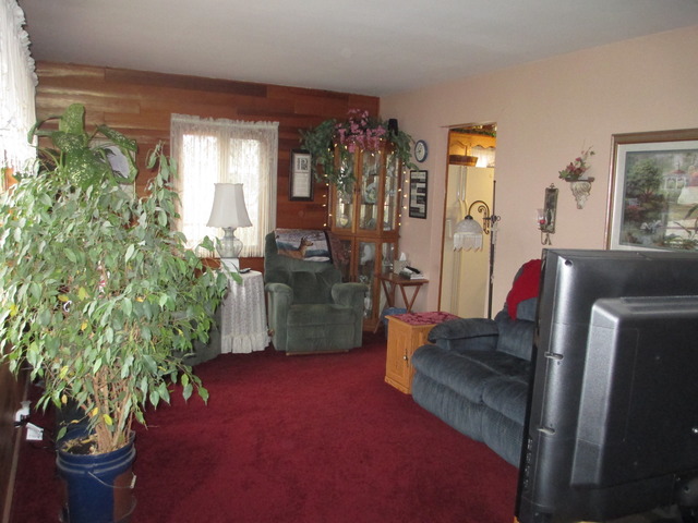 17872 Hickory St, Lansing, IL 60438 photo 8