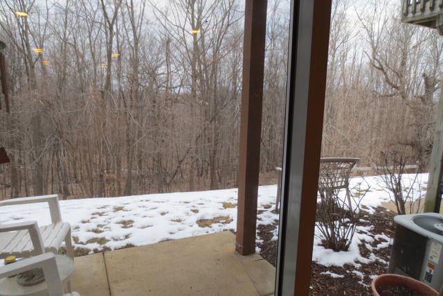 1394 Grandview Ct, Algonquin, IL 60102 photo 12