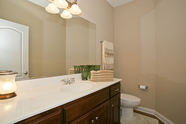 26636 Lindengate Cir, Plainfield, IL 60585 photo 15