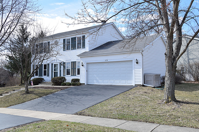1174 Pointsetta Ln, Bartlett, IL 60103 photo 1