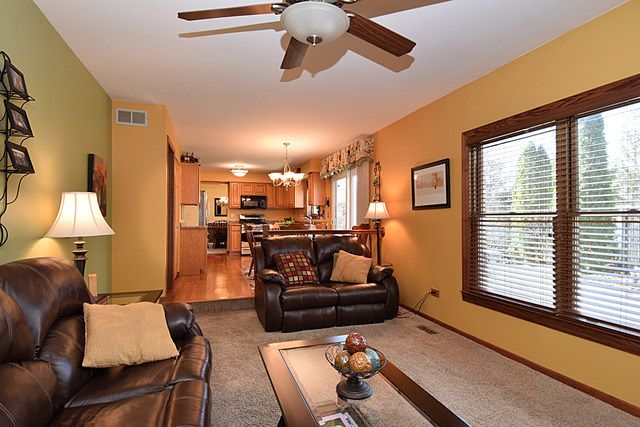 1174 Pointsetta Ln, Bartlett, IL 60103 photo 12