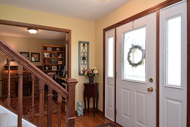 1174 Pointsetta Ln, Bartlett, IL 60103 photo 3