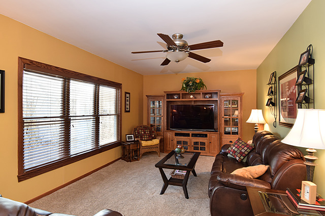 1174 Pointsetta Ln, Bartlett, IL 60103 photo 10