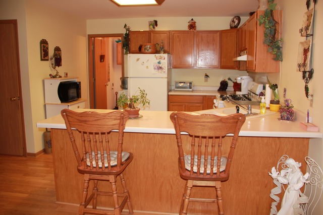 1485 Jo Lin Dr, Morris, IL 60450 photo 8