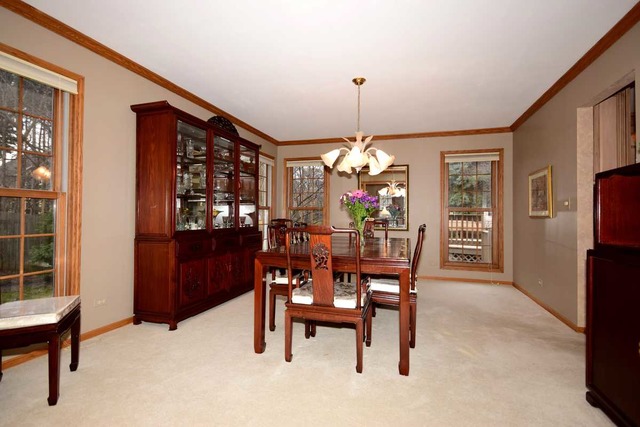 606 Robin Ct, Roselle, IL 60172 photo 4