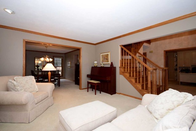 606 Robin Ct, Roselle, IL 60172 photo 3