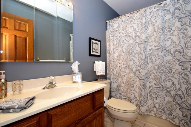 606 Robin Ct, Roselle, IL 60172 photo 24