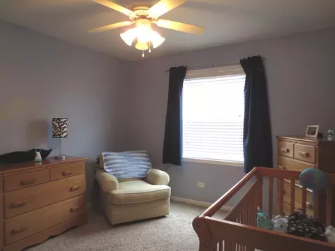 2311 Caton Cor, Plainfield, IL 60586 photo 15