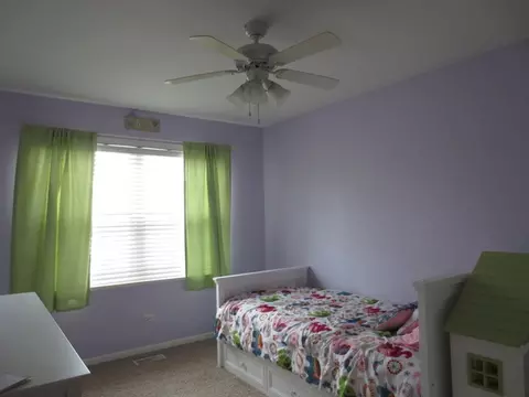 2311 Caton Cor, Plainfield, IL 60586 photo 14