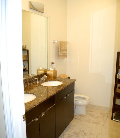 45 Northfield Ter, Wheeling, IL 60090 photo 10