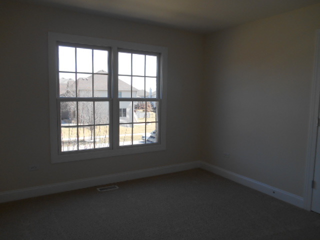 12848 Skyline Dr, Plainfield, IL 60585 photo 16