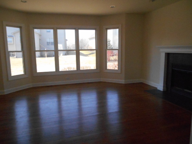 12848 Skyline Dr, Plainfield, IL 60585 photo 4
