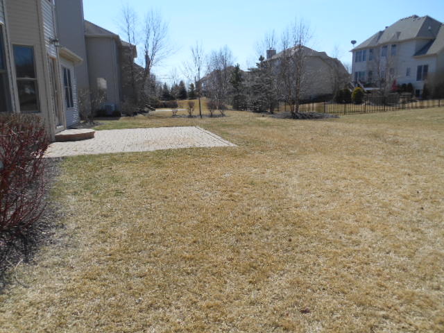 12848 Skyline Dr, Plainfield, IL 60585 photo 24