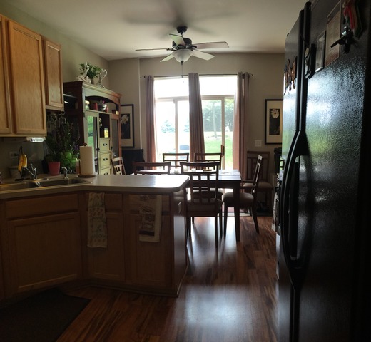 24336 Leski Ln, Plainfield, IL 60585 photo 6