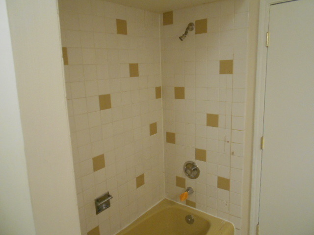2009 E Seminole Ln, Mount Prospect, IL 60056 photo 17