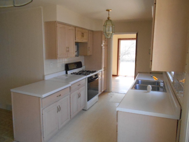 2009 E Seminole Ln, Mount Prospect, IL 60056 photo 12