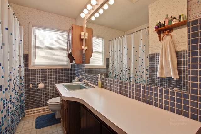 1217 W Circle Ct, Mchenry, IL 60051 photo 13