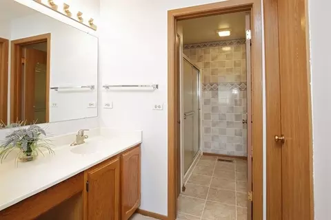 1769 Thorneapple Ln, Algonquin, IL 60102 photo 10