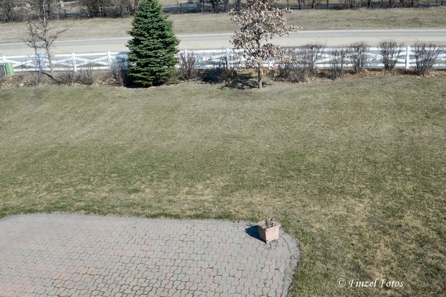 902 Limerick Ln, Mchenry, IL 60050 photo 3