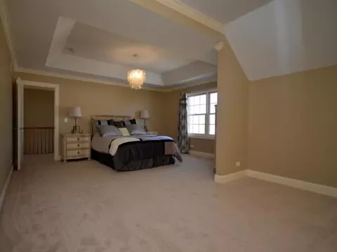 24241 Corydalis St, Plainfield, IL 60544 photo 13