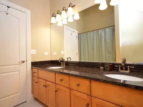 24241 Corydalis St, Plainfield, IL 60544 photo 19