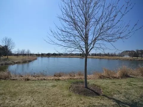 24241 Corydalis St, Plainfield, IL 60544 photo 21