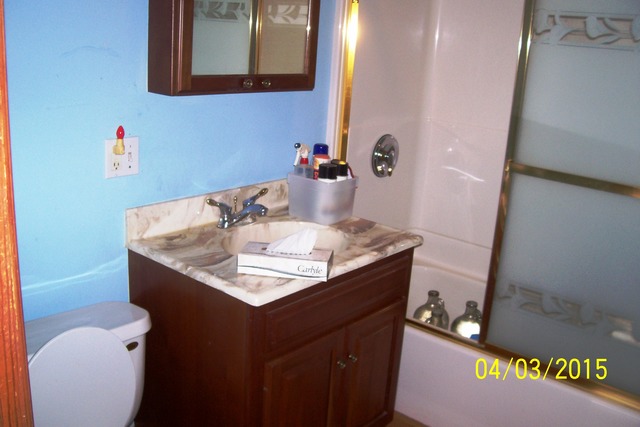 203 E Pine St, Manlius, IL 61338 photo 7