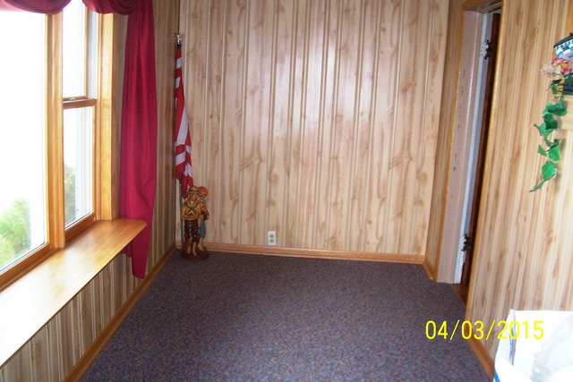 203 E Pine St, Manlius, IL 61338 photo 8