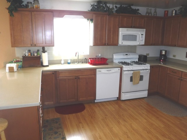 27337 S 88 Ave, Monee, IL 60449 photo 10