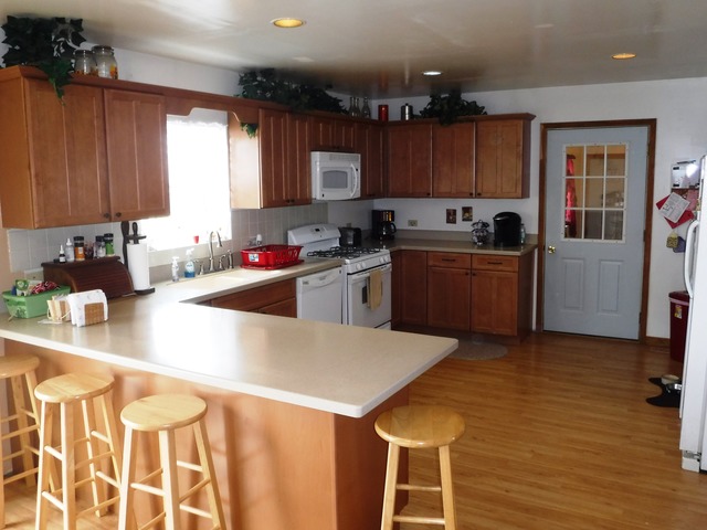27337 S 88 Ave, Monee, IL 60449 photo 9