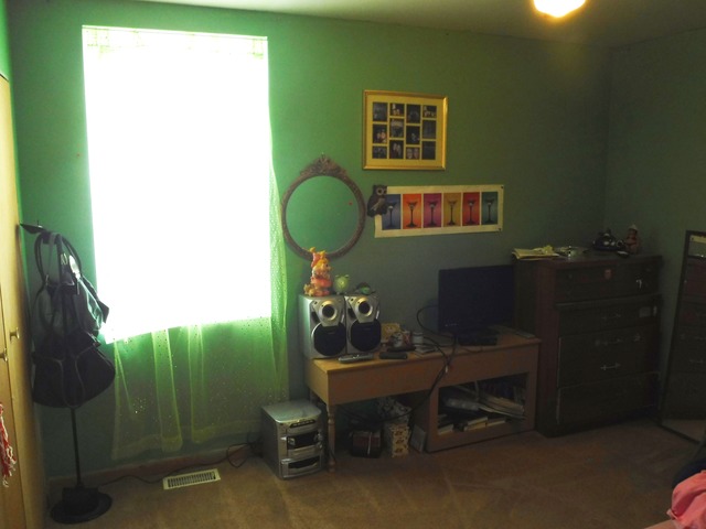 27337 S 88 Ave, Monee, IL 60449 photo 22