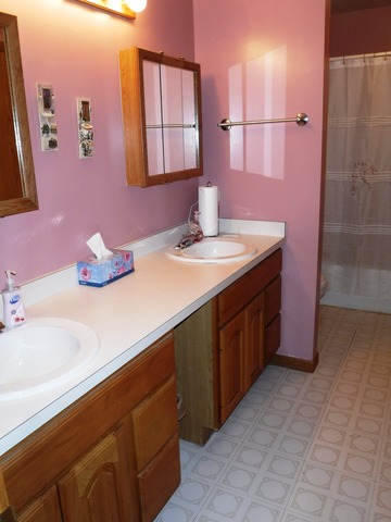 27337 S 88 Ave, Monee, IL 60449 photo 19