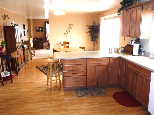 27337 S 88 Ave, Monee, IL 60449 photo 11