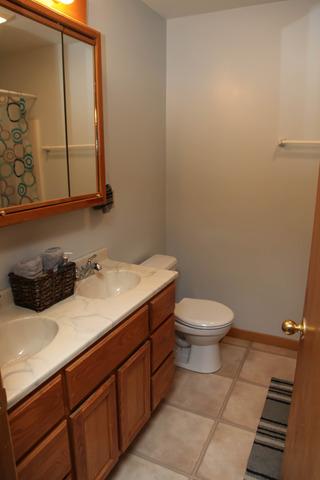 914 Douglas St, Morris, IL 60450 photo 15
