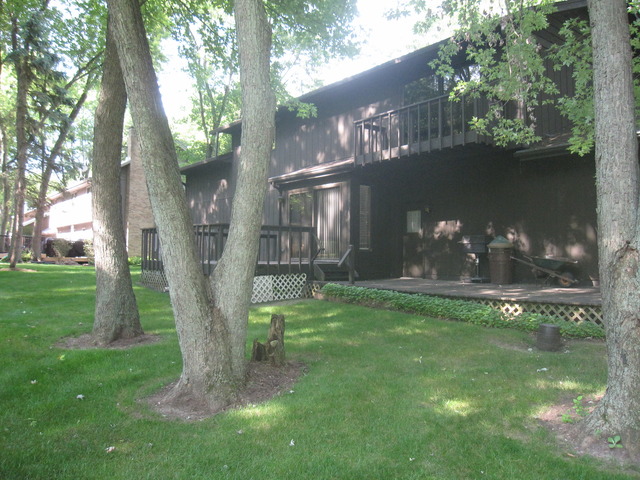 9810 Captains Dr, Algonquin, IL 60102 photo 5