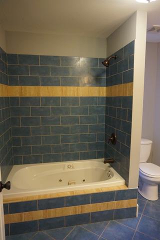 419 E 45th Pl, Chicago, IL 60653 photo 19