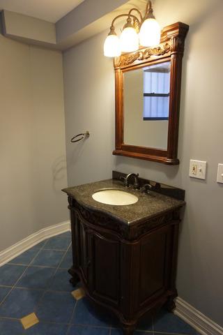 419 E 45th Pl, Chicago, IL 60653 photo 20