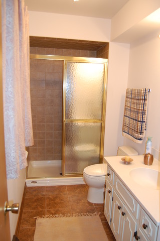 925 Marshall Dr, Des Plaines, IL 60016 photo 12