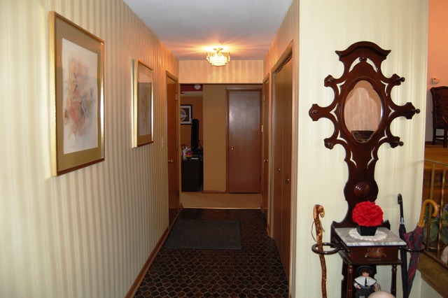 925 Marshall Dr, Des Plaines, IL 60016 photo 3