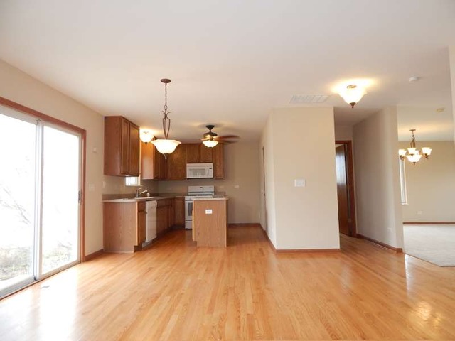 14451 Meadow Ln, Plainfield, IL 60544 photo 6