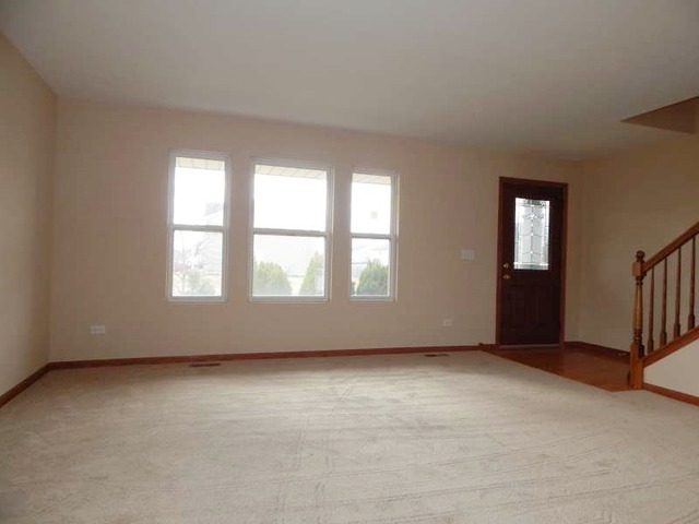 14451 Meadow Ln, Plainfield, IL 60544 photo 4