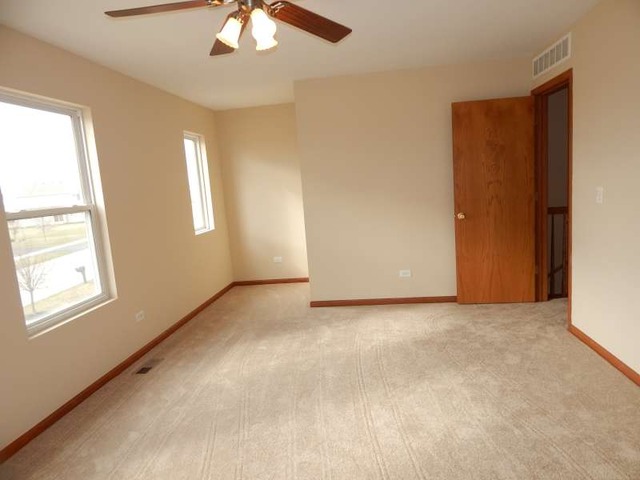 14451 Meadow Ln, Plainfield, IL 60544 photo 17