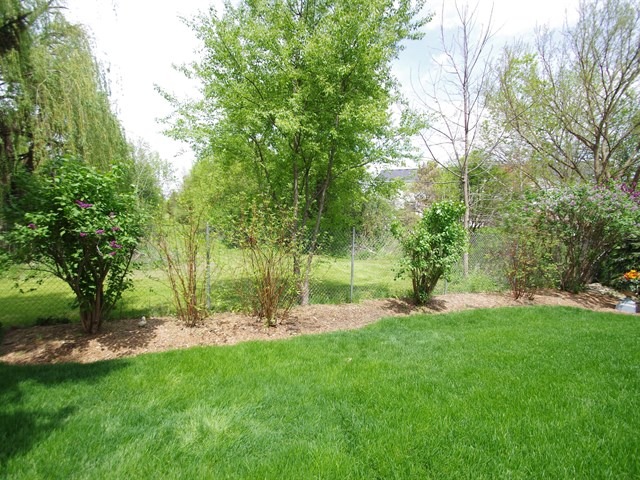 1260 Spaulding Rd, Bartlett, IL 60103 photo 23
