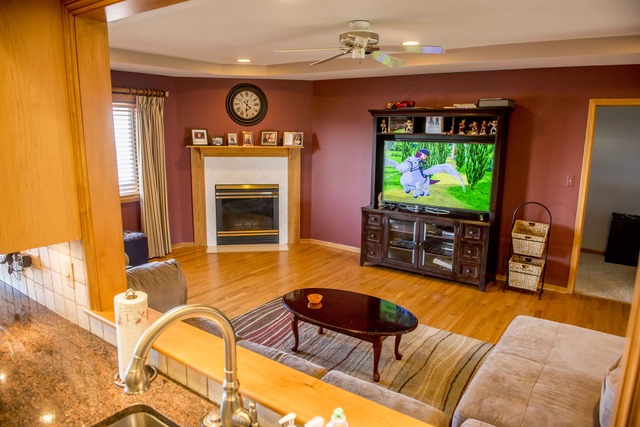 9230 Willow Ln, Mokena, IL 60448 photo 6